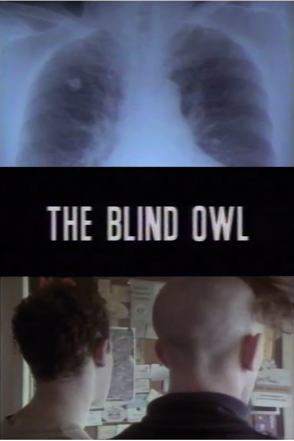 The Blind Owl poster