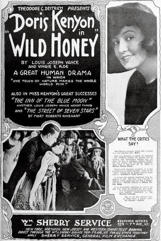 Wild Honey poster