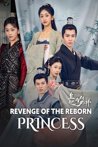 Revenge of the Reborn Princess poster