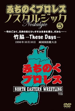 Michinoku Pro 3rd Anniversary: These Days poster
