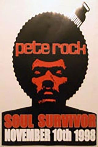 Pete Rock: Soul Survivor poster