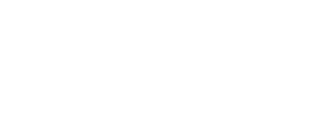 The Secret Life of Dancing Dogs logo