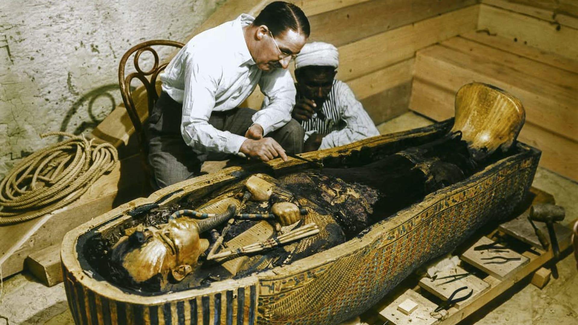 Tutankhamun In Colour backdrop