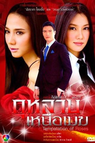 Temptation of the Roses poster