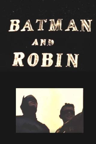 Batman and Robin poster