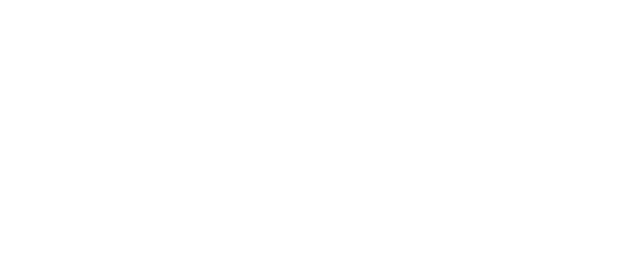 The Promise logo