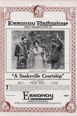 A Snakeville Courtship poster