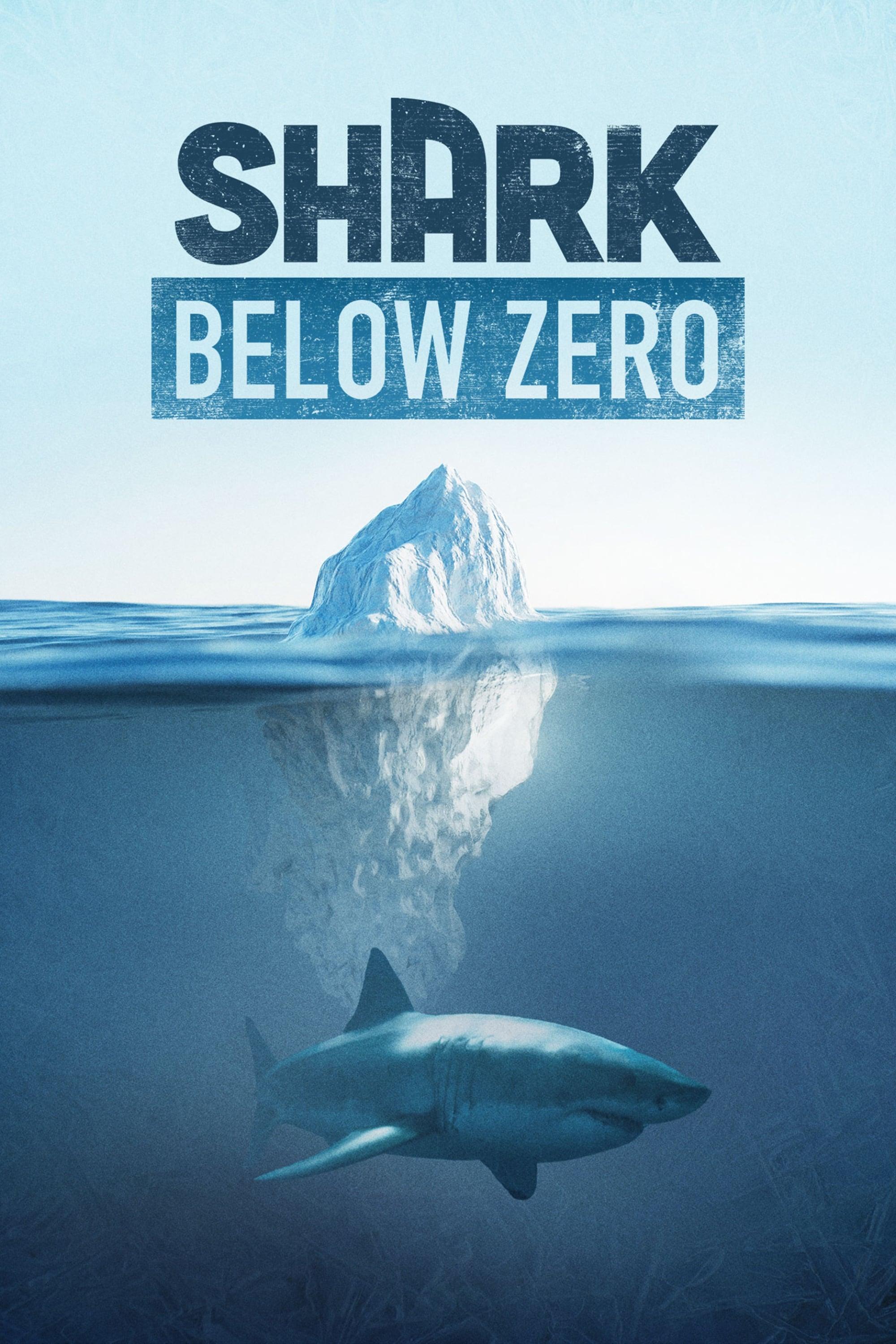 Shark Below Zero poster