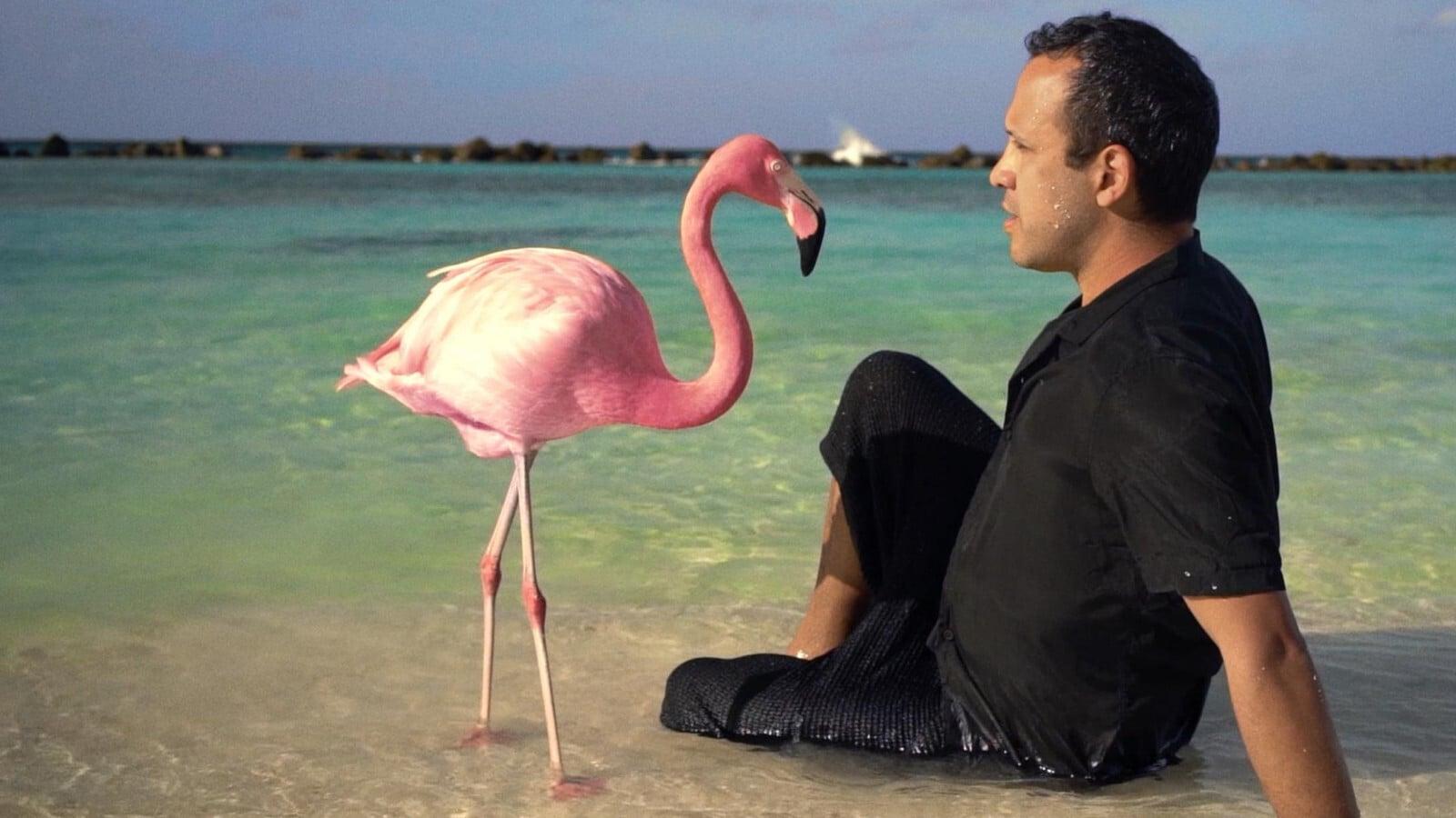 The Mystery of the Pink Flamingo backdrop