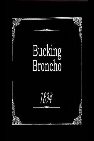 Bucking Broncho poster