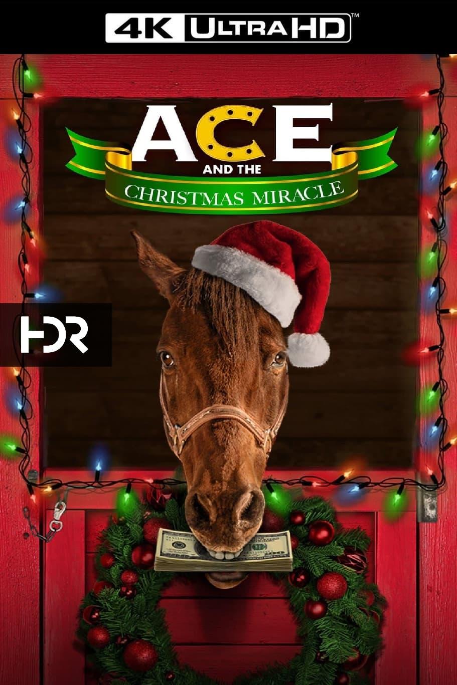 Ace & the Christmas Miracle poster
