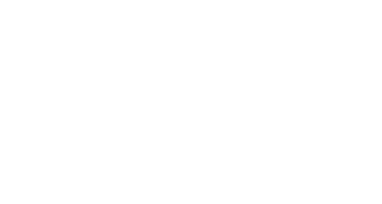 Disconnect Me logo