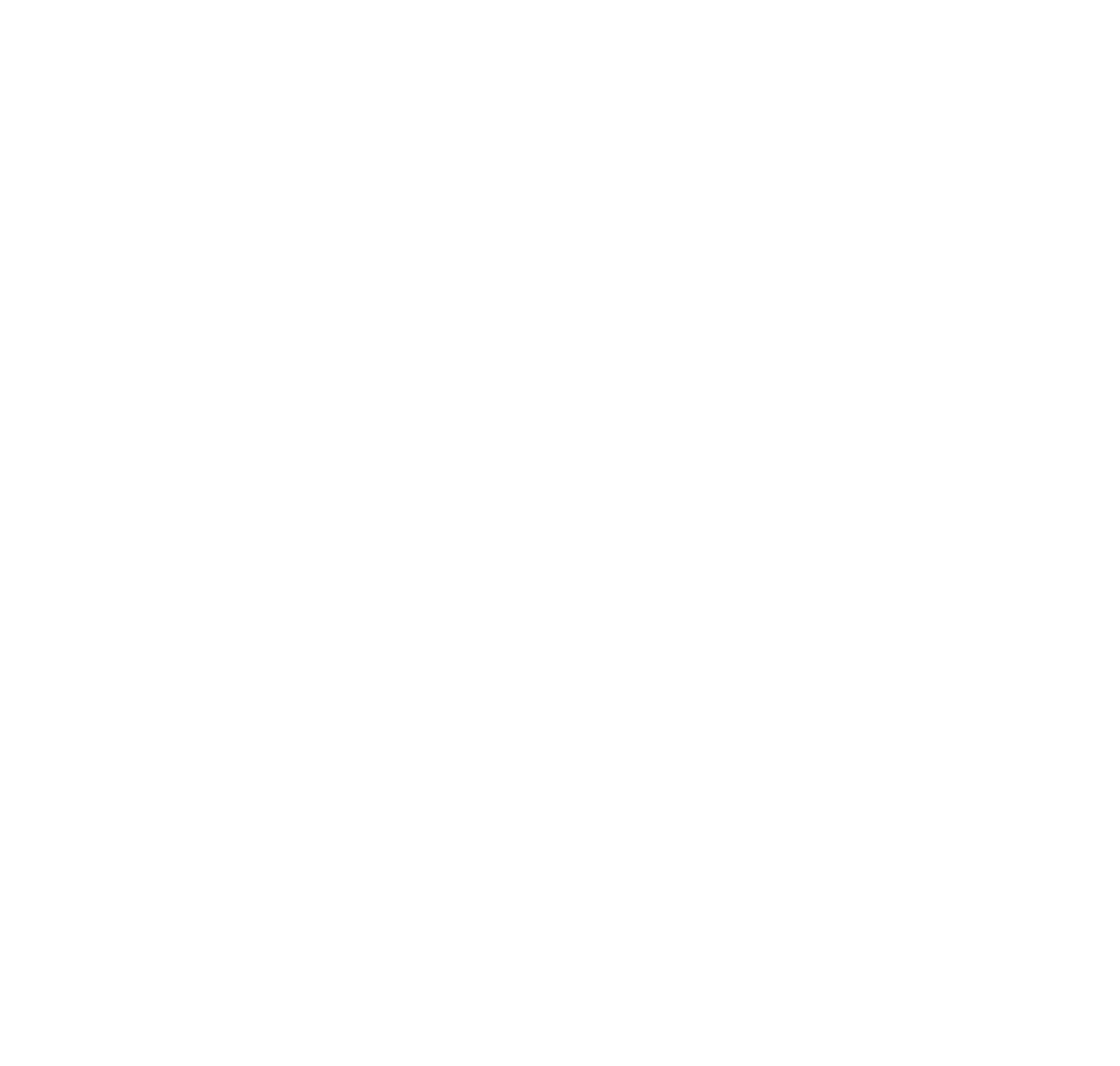 Mike and the Mad Dog logo