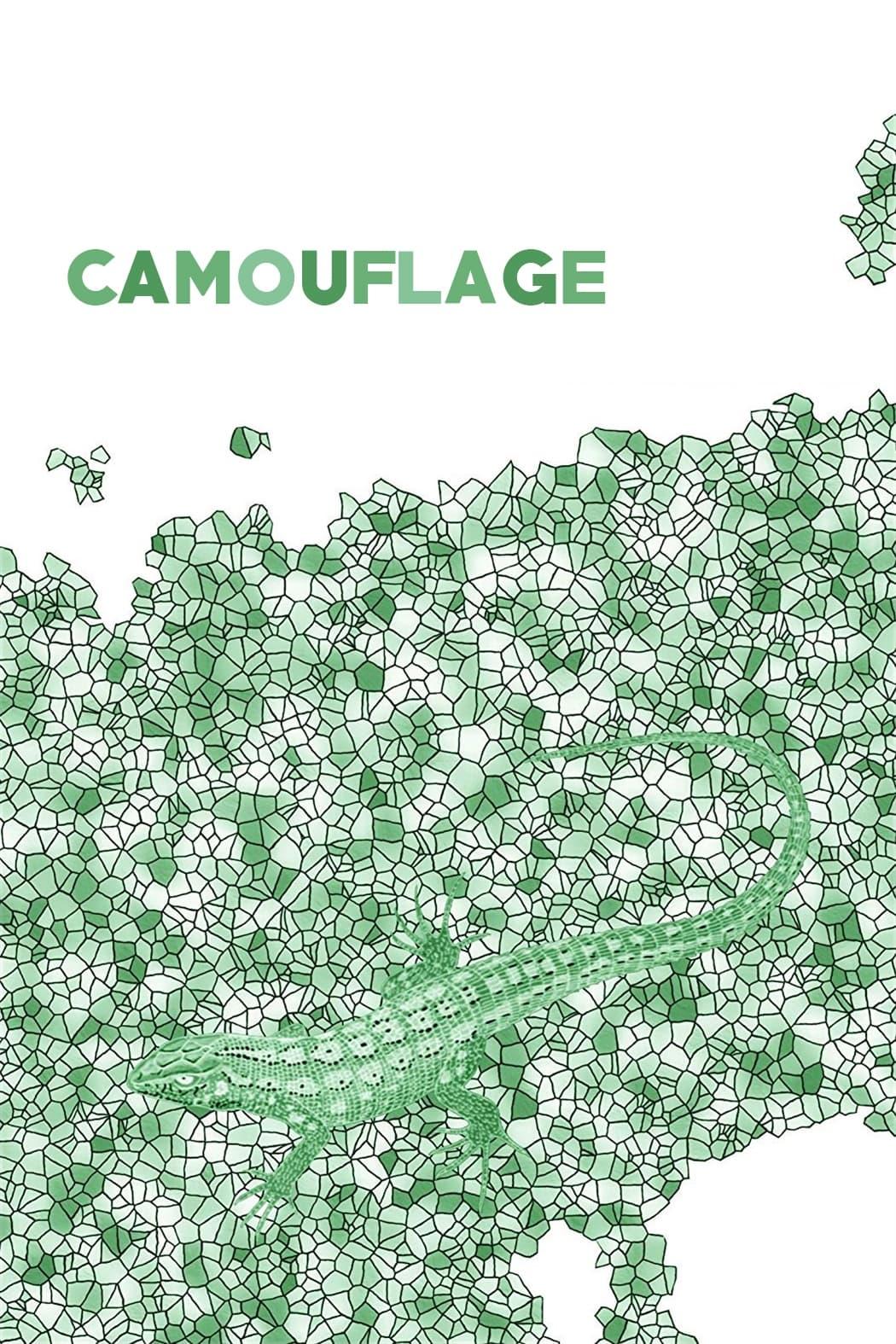 Camouflage poster