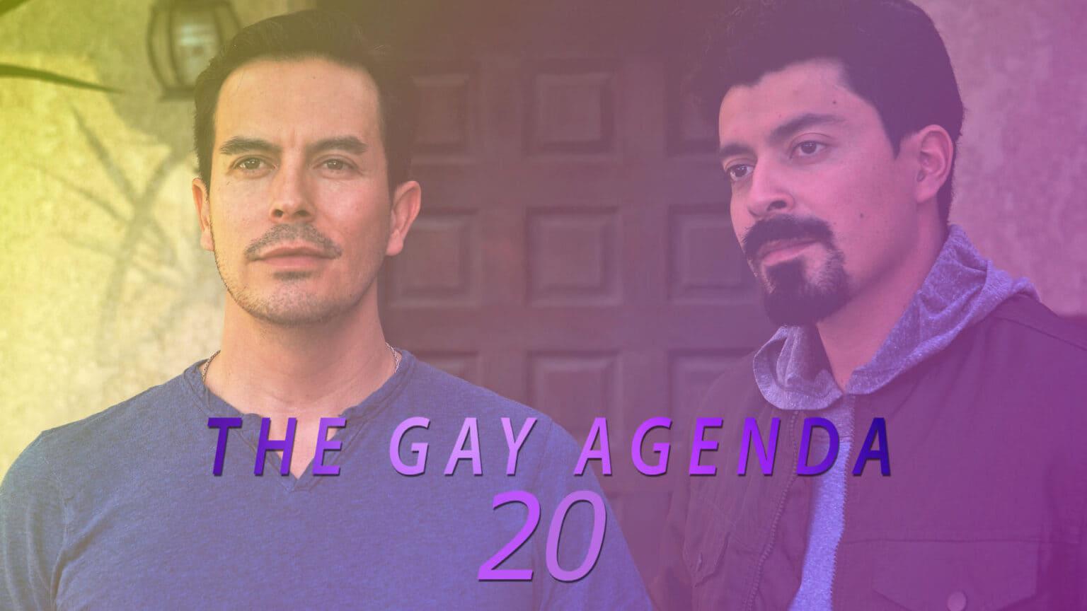 The Gay Agenda 20 backdrop