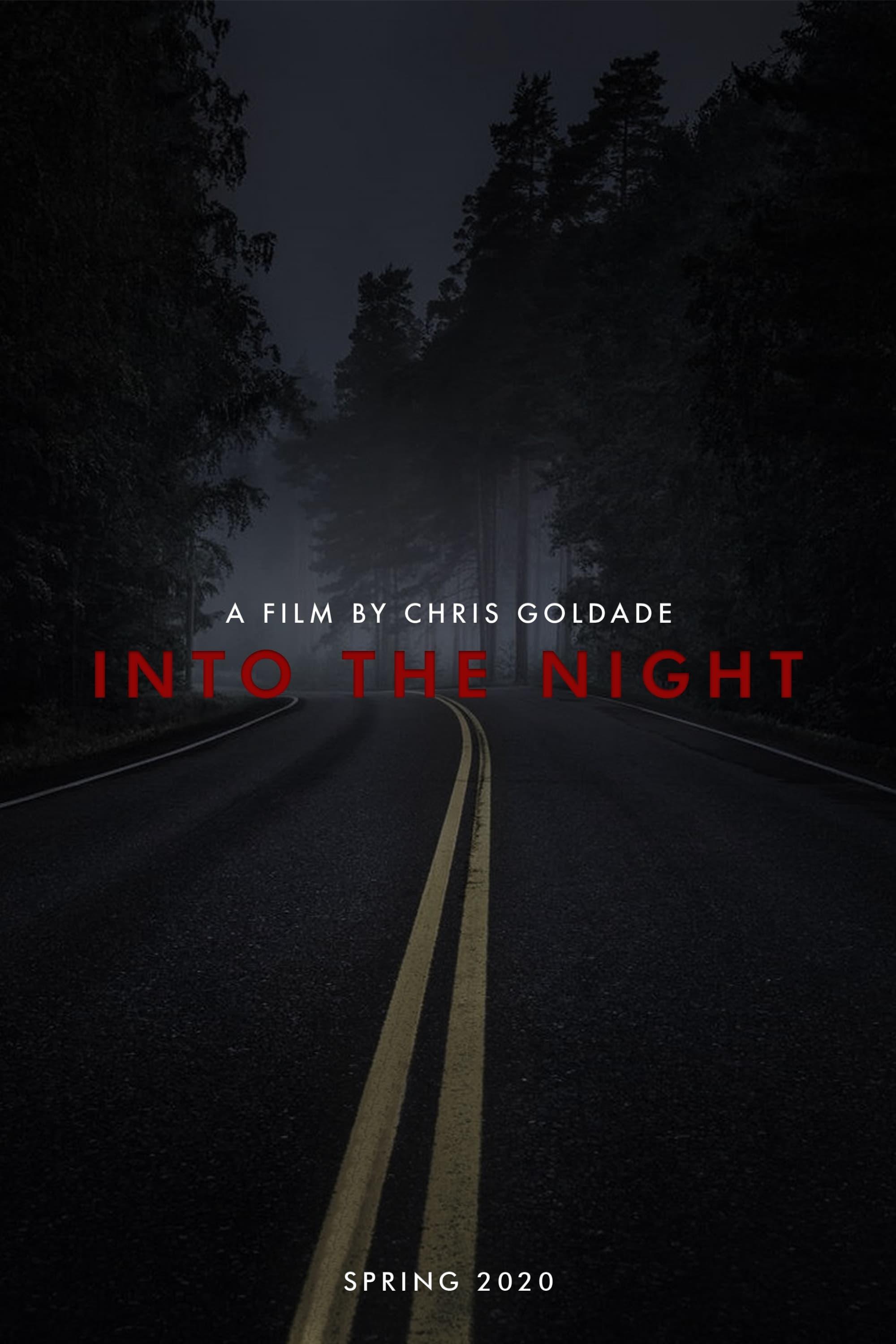 Into The Night poster