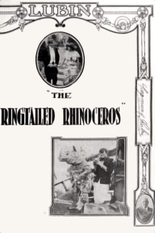 The Ringtailed Rhinoceros poster