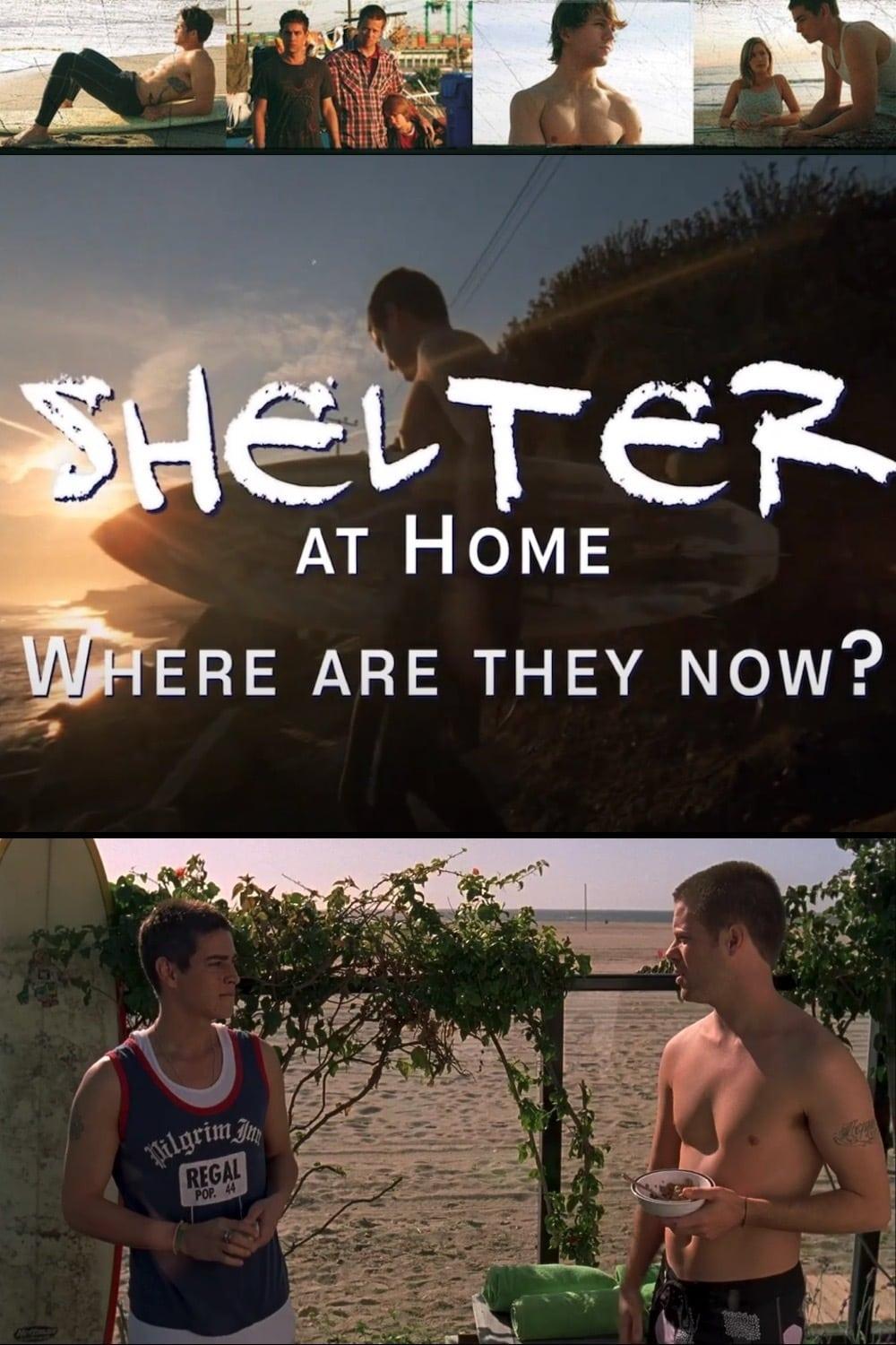 Shelter at Home: Where Are They Now? poster