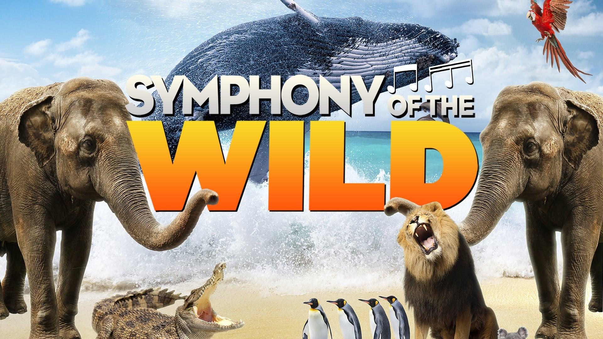 Symphony of the Wild backdrop