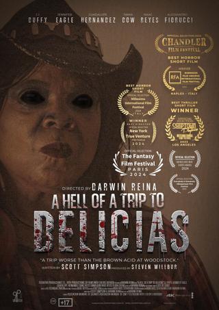 A Hell of a Trip to Delicias poster