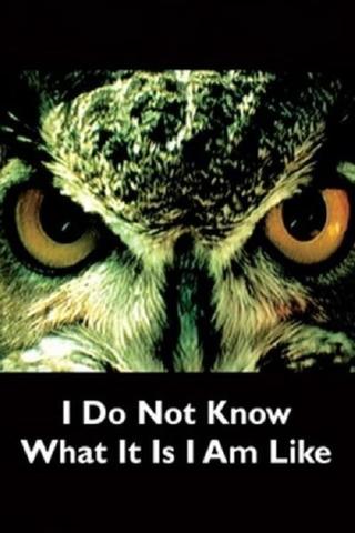 I Do Not Know What It Is I Am Like poster