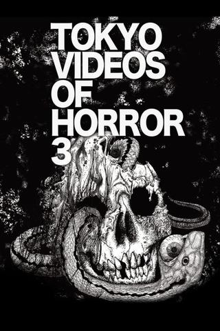 Tokyo Videos of Horror 3 poster
