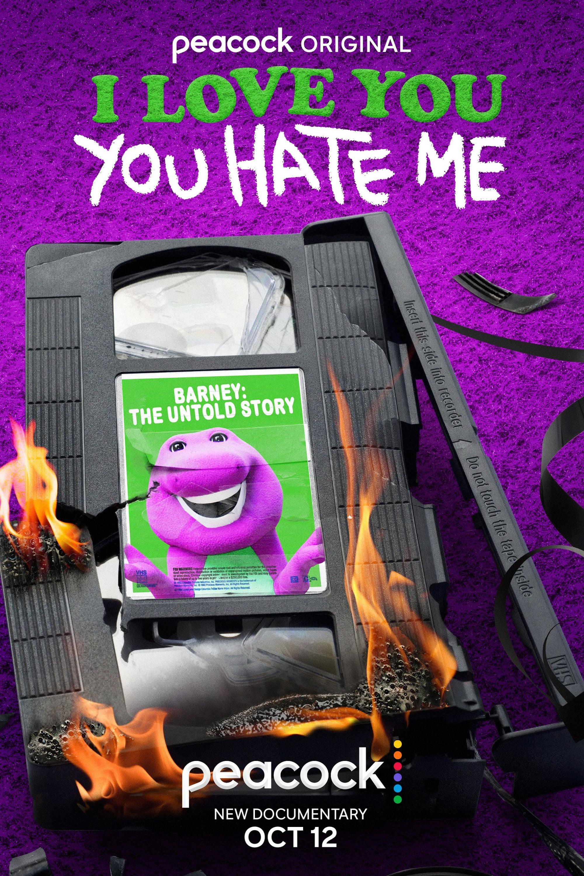 I Love You, You Hate Me poster