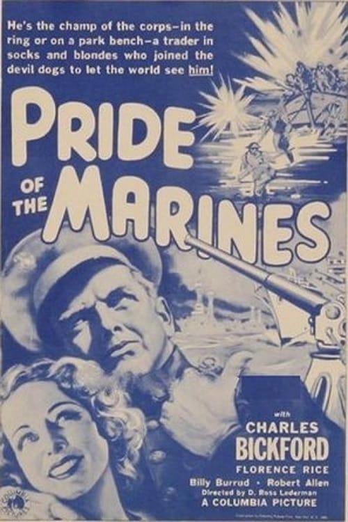 Pride of the Marines poster