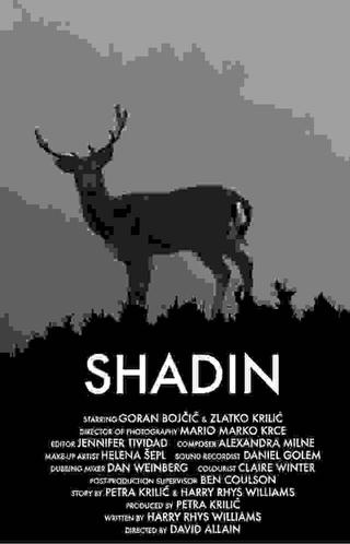 Shadin poster