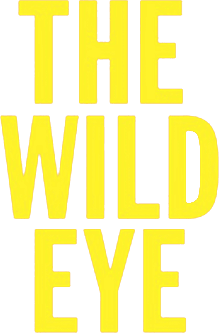 The Wild Eye logo