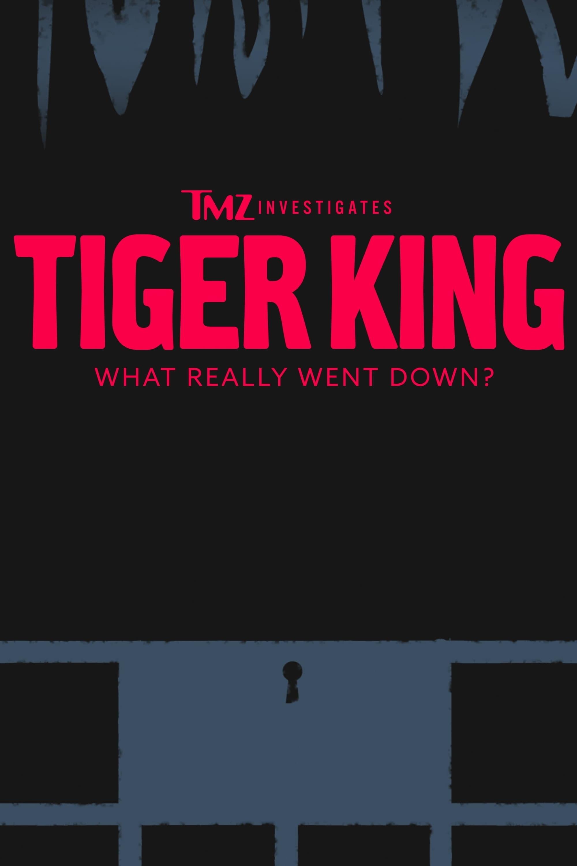 TMZ Investigates: Tiger King - What Really Went Down poster