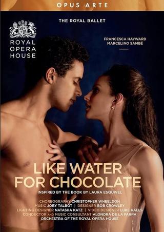 Like Water for Chocolate poster