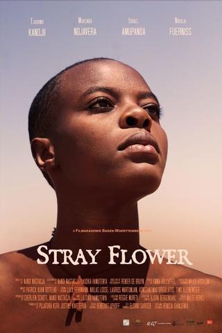 Stray Flower poster