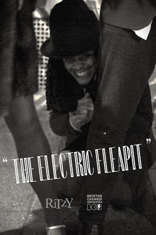 The Electric Fleapit poster