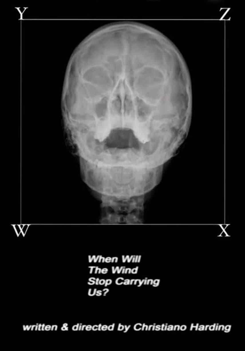 When Will The Wind Stop Carrying Us? poster