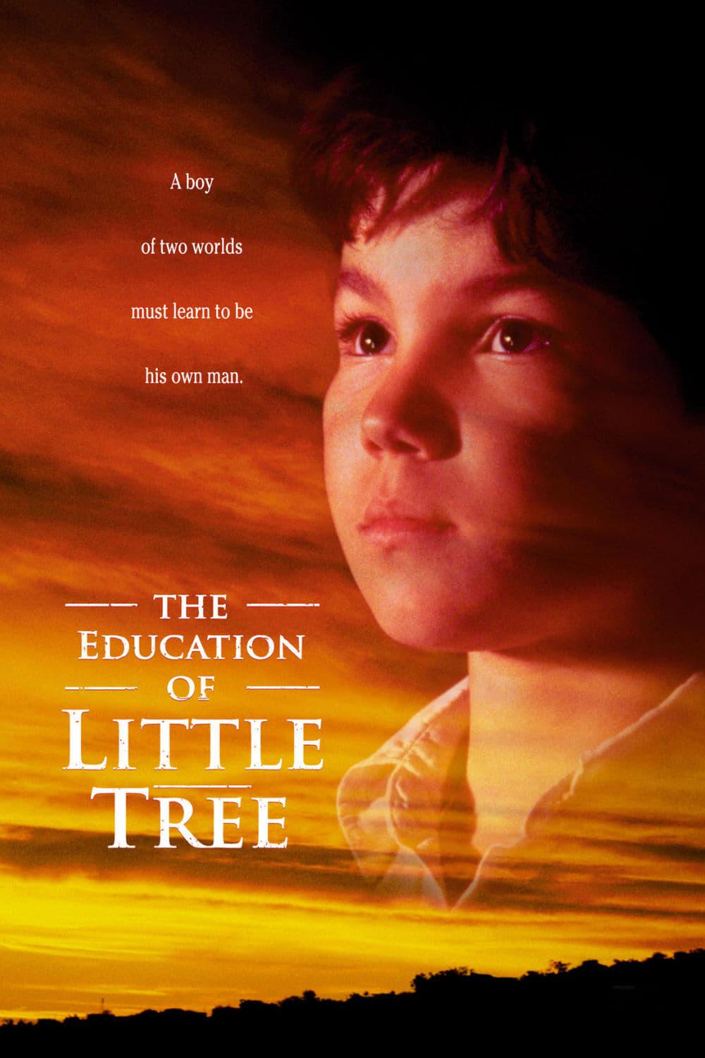 The Education of Little Tree poster