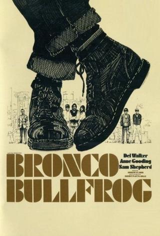 Bronco Bullfrog poster