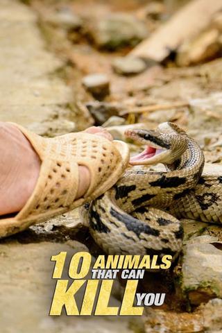 10 Animals That Will Kill You poster