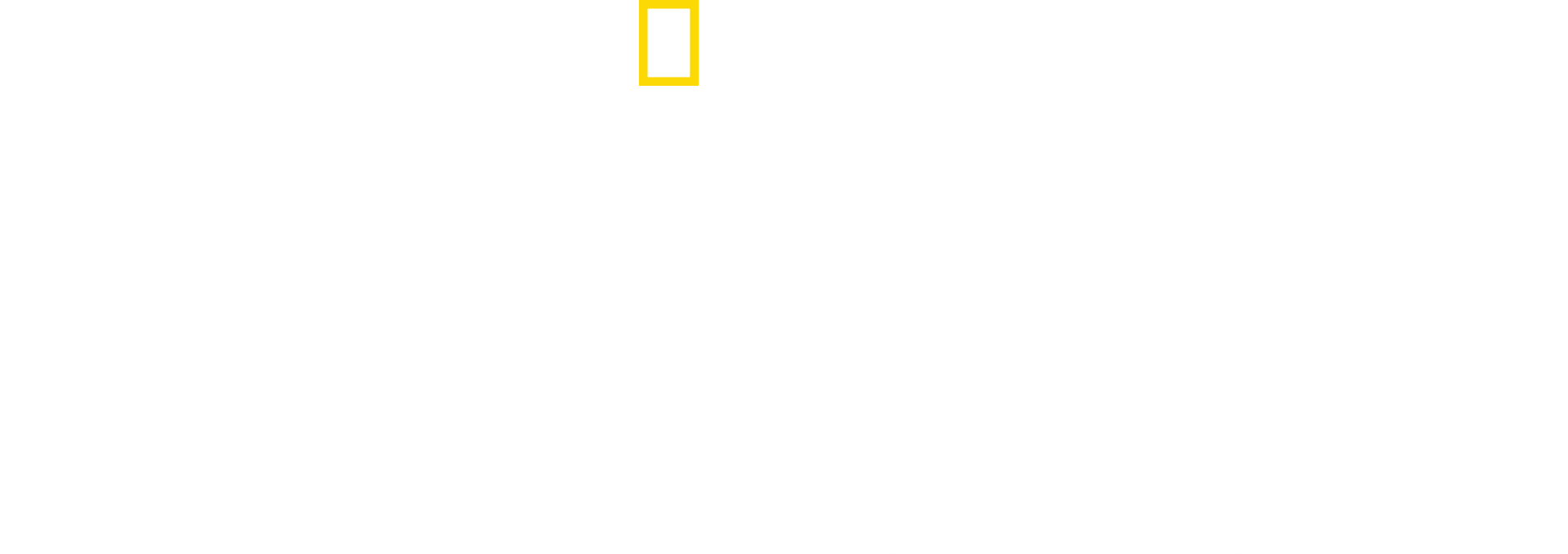 National Geographic Presents: IMPACT with Gal Gadot logo