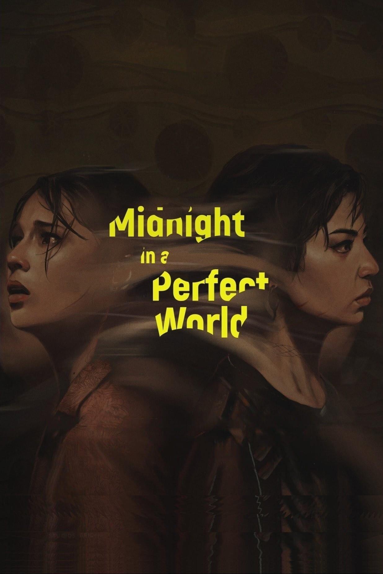 Midnight in a Perfect World poster