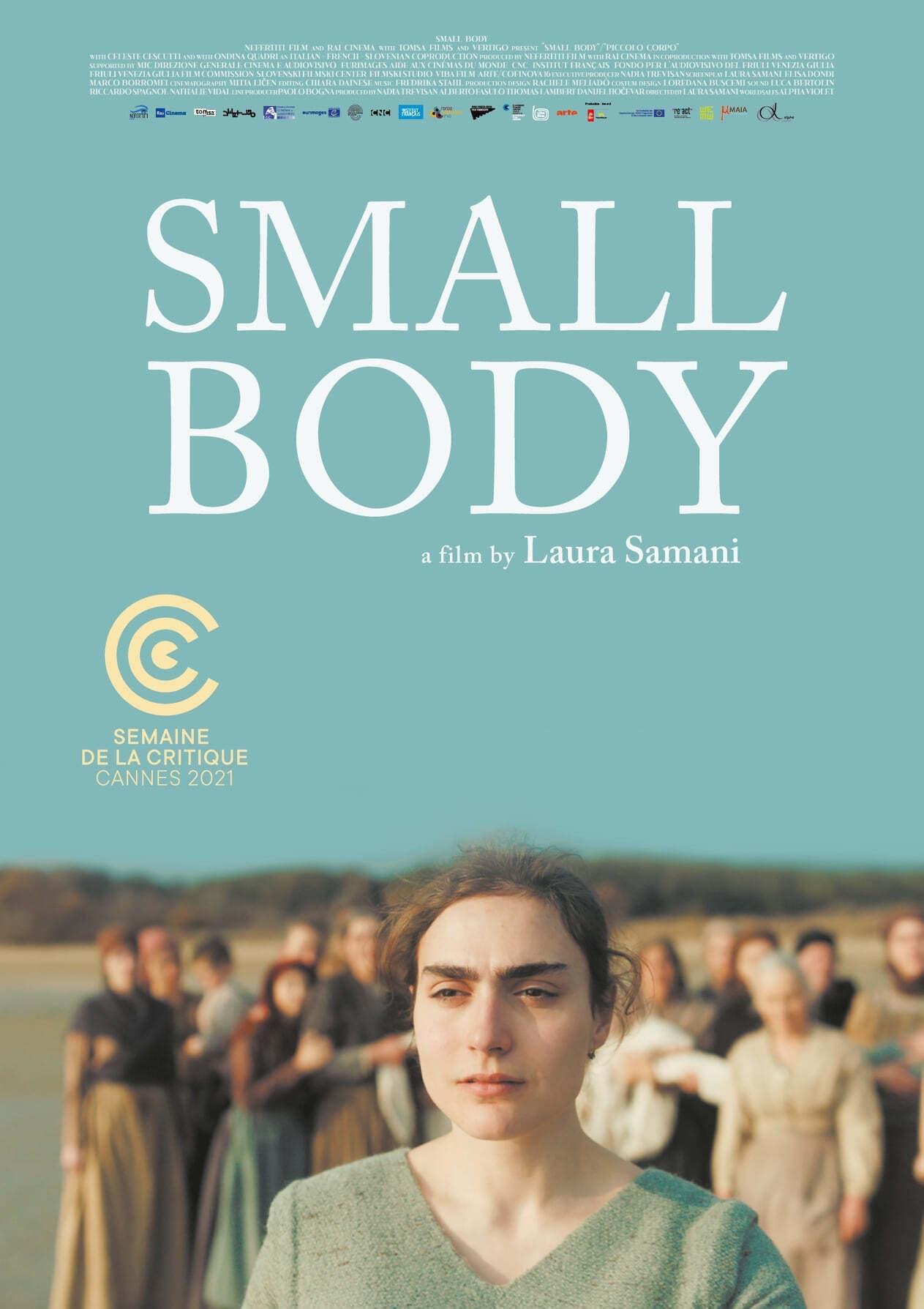 Small Body poster