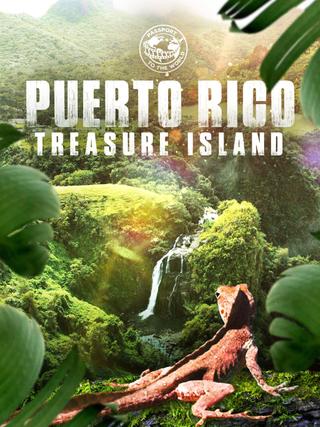 Passport To The World: Puerto Rico poster