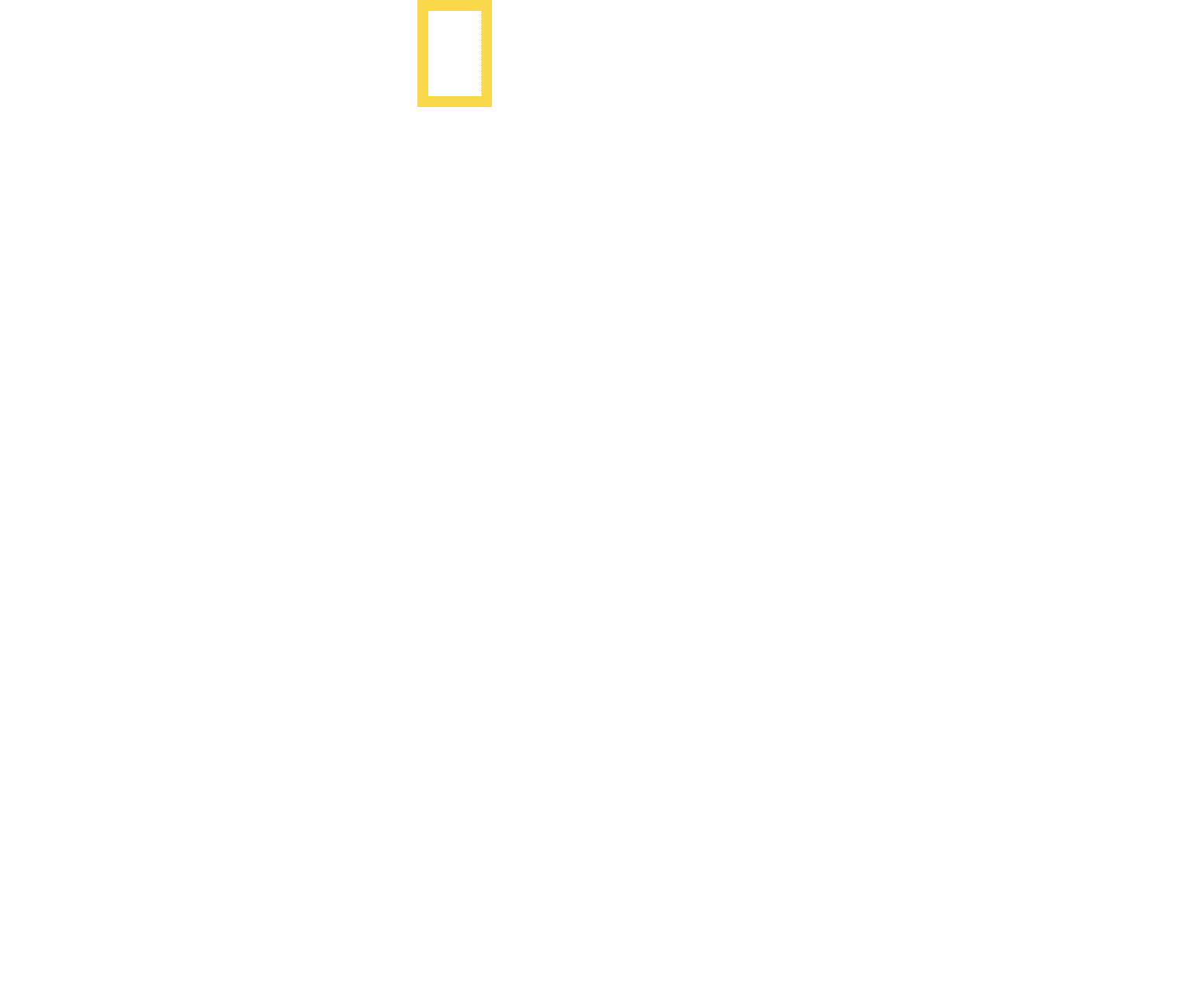 Shark Attack Files logo