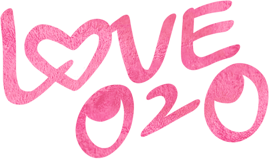 Love O2O logo