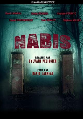 Nabis poster