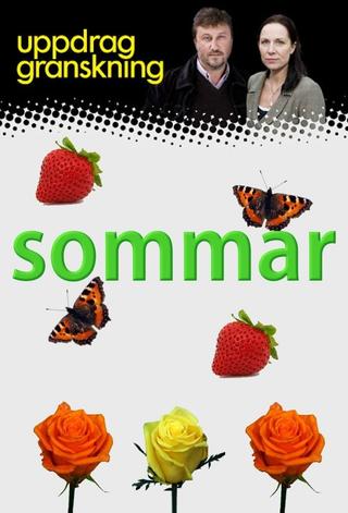 Uppdrag granskning sommar poster