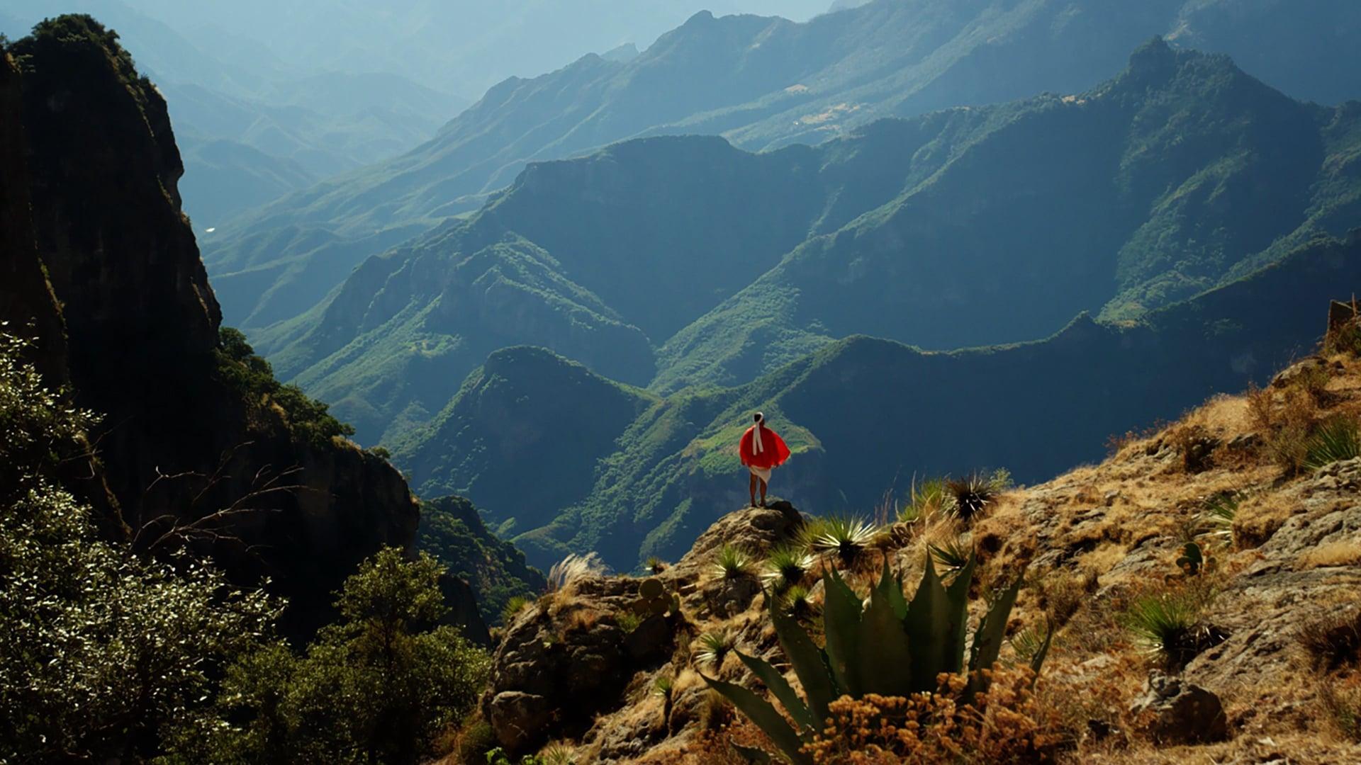 Mexico: Earth's Festival of Life backdrop