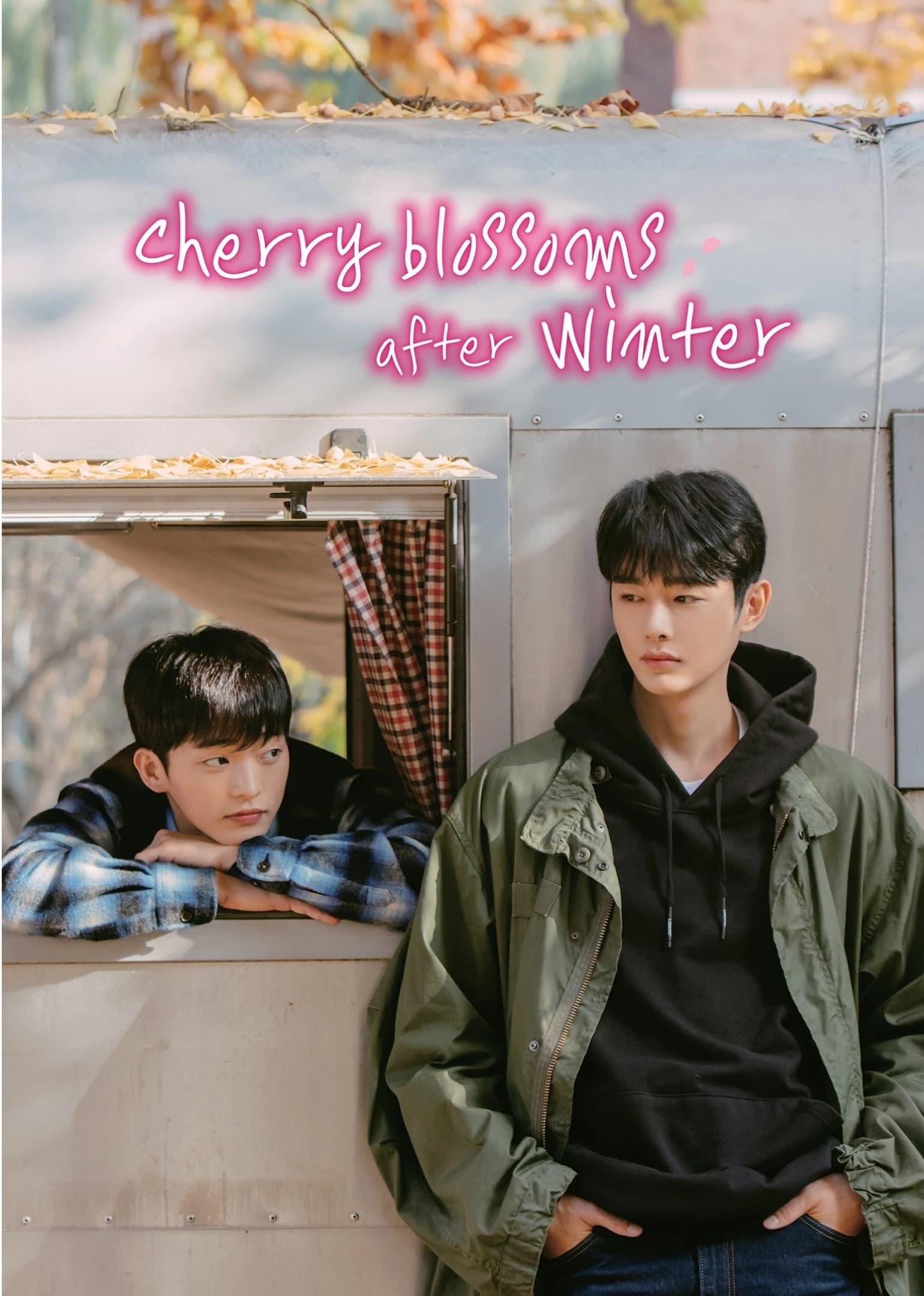 Cherry Blossoms After Winter poster