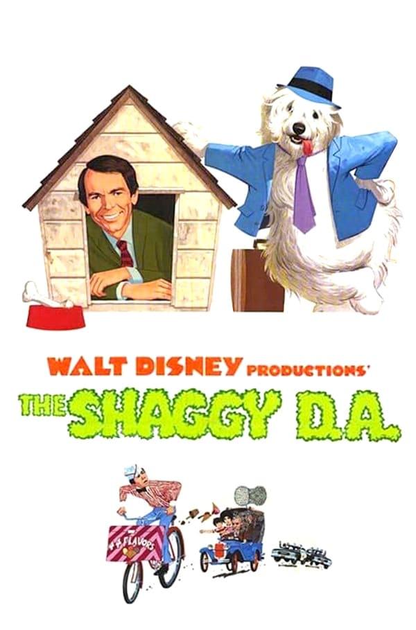 The Shaggy D.A. poster