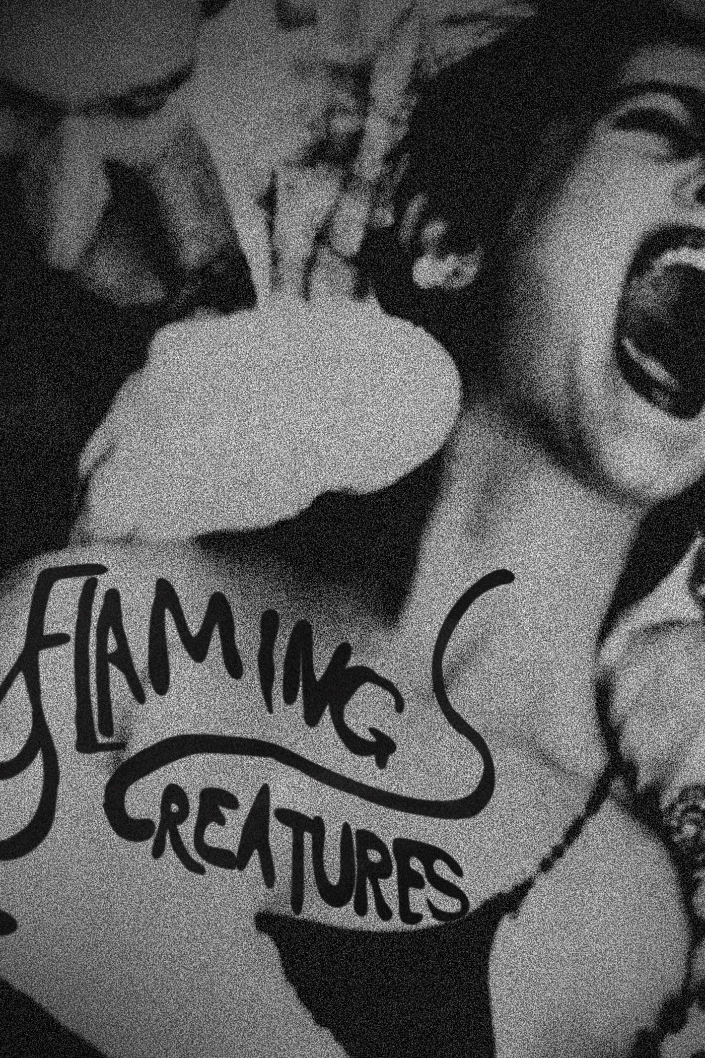 Flaming Creatures poster
